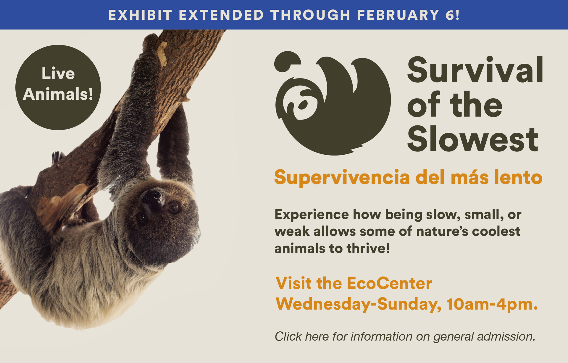 Survival of the Slowest extended to February 6!